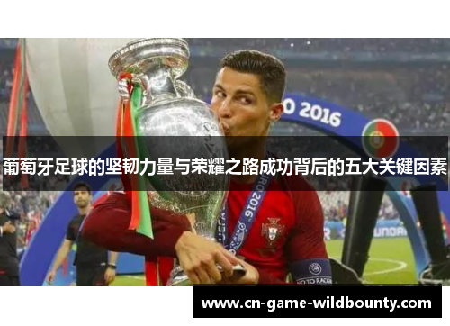 葡萄牙足球的坚韧力量与荣耀之路成功背后的五大关键因素